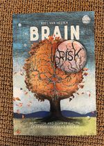ISBN: 9789039373682 - Title: The brain at risk: Detection and quantification of cerebrovascular disease
